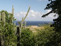 IMG_0586