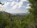 IMG_0600