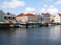 IMG_0650