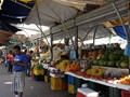 IMG_0651