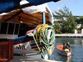 IMG_0655