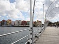 IMG_0681