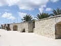 IMG_0686