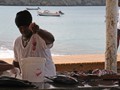 IMG_0761