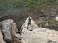 IMG_0770