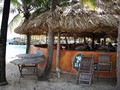 IMG_0792