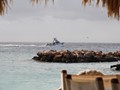 IMG_0842