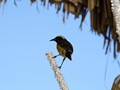 IMG_0855