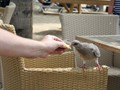 IMG_0898