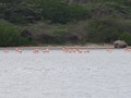 IMG_6425