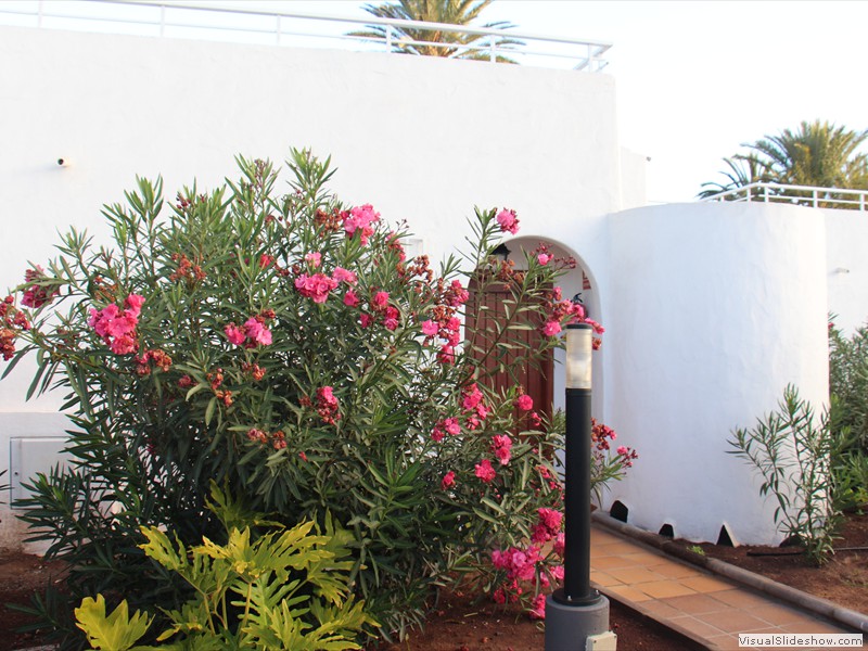 gran canaria-005