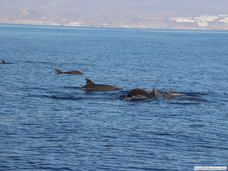 gran canaria-040