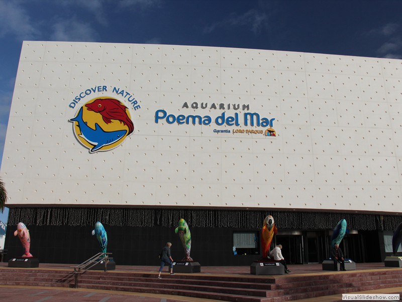 gran canaria-043