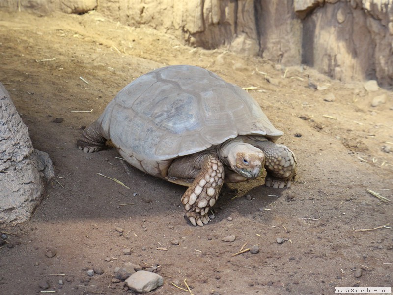 gran canaria-048