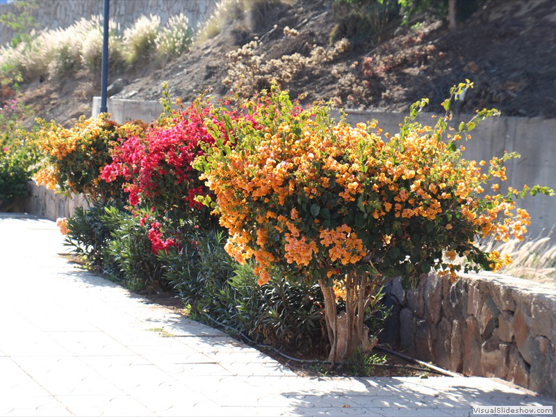 gran canaria-078