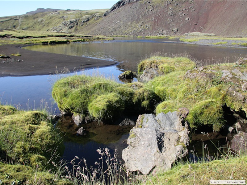 ICE_139