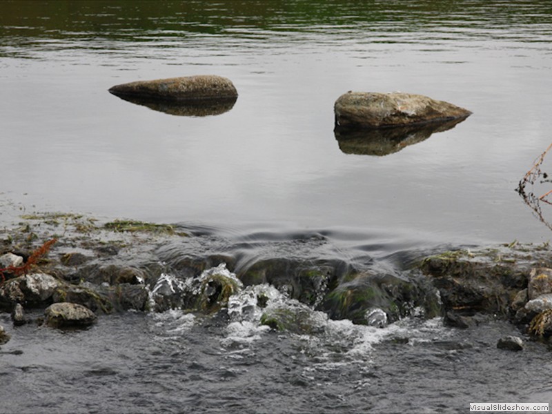 ICE_245