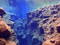 ICE_010