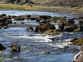 ICE_136