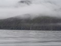 ICE_232