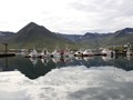 ICE_339