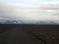 ICE_354