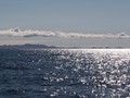 ICE_402