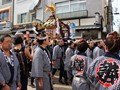 Jap-008