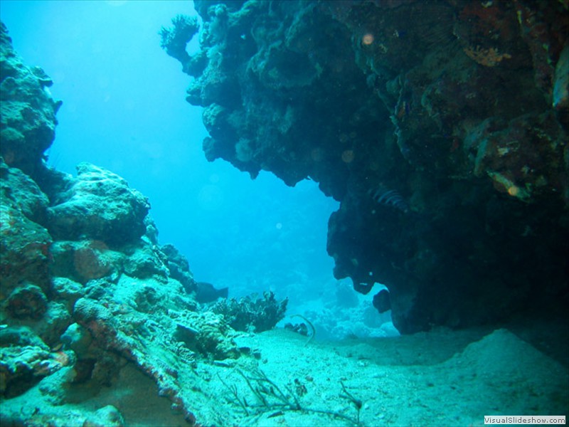 Jord2009_044
