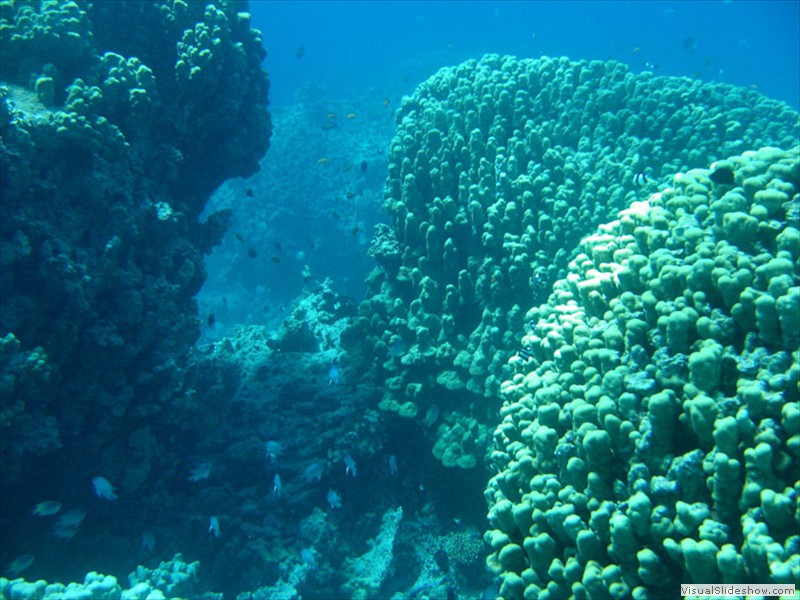Jord2009_072