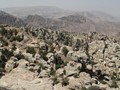 jodan_42