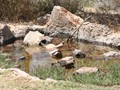 jodan_43
