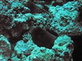 Jord2009_005
