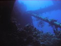Jord2009_009