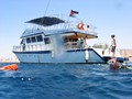 Jord2009_042