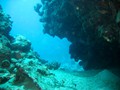 Jord2009_044