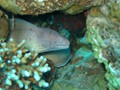 Jord2009_054