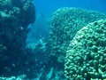 Jord2009_072