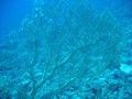 Jord2009_094