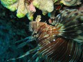Jord2009_110