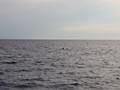 Kroatie-031