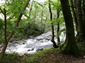 Lake-161