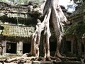 LaosCamb_230