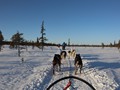 lap-083