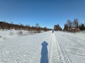 lap-087
