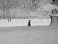 IMG_4878