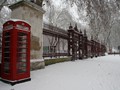 IMG_4881