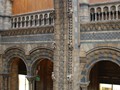 IMG_4918