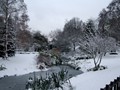 IMG_4932