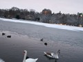 IMG_4937